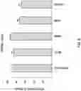 Fig. 07 - Phenotype profile of human retinal progenitor cells