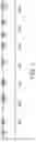 Fig. 03 - Synergistic bacterial compositions and methods of production and use thereof