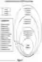 Fig. 08 - Methods and compositions relating to microbial treatment and diagnosis of disorders
