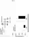 Fig. 06 - MEDICATION FOR INFLUENZA