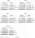 Fig. 09 - Composition for preventing or treating glioblastoma comprising A. De Candolle, Ruprecht or 