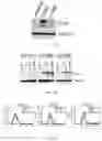 Fig. 18 - Composition for preventing or treating glioblastoma comprising A. De Candolle, Ruprecht or 