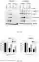 Fig. 23 - Composition for preventing or treating glioblastoma comprising A. De Candolle, Ruprecht or 