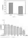 Fig. 26 - Composition for preventing or treating glioblastoma comprising A. De Candolle, Ruprecht or 