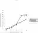 Fig. 02 - METHOD AND COMPOSITION FOR SYNCHRONIZING TIME OF INSEMINATON