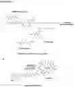 Fig. 08 - PSMA-targeting amanitin conjugates