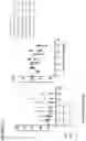 Fig. 23 - PSMA-targeting amanitin conjugates