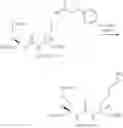 Fig. 24 - PSMA-targeting amanitin conjugates