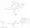 Fig. 86 - PSMA-targeting amanitin conjugates