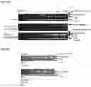 Fig. 04 - Immunomodulating tumor necrosis factor receptor 25 (TNFR25) agonists, antagonists, and immunotoxins