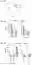 Fig. 06 - Immunomodulating tumor necrosis factor receptor 25 (TNFR25) agonists, antagonists, and immunotoxins