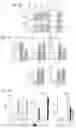 Fig. 07 - Immunomodulating tumor necrosis factor receptor 25 (TNFR25) agonists, antagonists, and immunotoxins