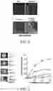 Fig. 03 - Methods and compositions for modulating myofibroblast activities