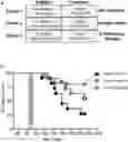 Fig. 01 - Type I diabetes therapy