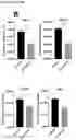 Fig. 04 - Type I diabetes therapy