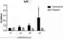 Fig. 01 - FORMULATION OF FISH VACCINE BASED ON LIPIDIC NANOVESICLES, IN PARTICULAR, A PROTEOLIPOSOME OR COCHLEATE, WITH ACTIVITY AGAINST THE SALMONID RICKETTSIAL SYNDROME (SRS)