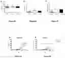 Fig. 04 - FORMULATION OF FISH VACCINE BASED ON LIPIDIC NANOVESICLES, IN PARTICULAR, A PROTEOLIPOSOME OR COCHLEATE, WITH ACTIVITY AGAINST THE SALMONID RICKETTSIAL SYNDROME (SRS)