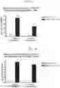 Fig. 04 - Method of conferring a protective immune response to norovirus