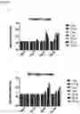 Fig. 10 - Norovirus vaccine