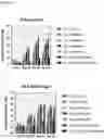 Fig. 12 - Norovirus vaccine