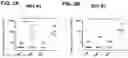 Fig. 04 - Immunogenic RSV polypeptides