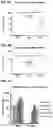 Fig. 05 - Immunogenic RSV polypeptides