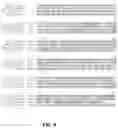 Fig. 09 - Immunogenic RSV polypeptides
