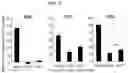 Fig. 07 - VIRAL VECTORS AND THEIR USE IN THERAPEUTIC METHODS