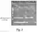 Fig. 03 - Compositions, methods and kits for eliciting an immune response