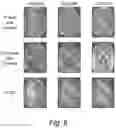 Fig. 06 - Compositions, methods and kits for eliciting an immune response