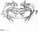 Fig. 02 - Recombinant hypoallergenic Equ c 1 polypeptides for use in the immunotherapy of horse allergy