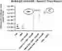 Fig. 01 - Compositions and uses