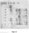 Fig. 04 - Compositions and uses