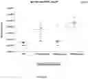 Fig. 13 - Compositions and uses