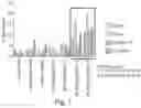 Fig. 02 - COMPOSITIONS AND METHODS RELATED TO CELL SYSTEMS FOR PENETRATING SOLID TUMORS