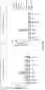 Fig. 11 - COMPOSITIONS AND METHODS RELATED TO CELL SYSTEMS FOR PENETRATING SOLID TUMORS