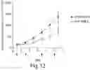 Fig. 13 - COMPOSITIONS AND METHODS RELATED TO CELL SYSTEMS FOR PENETRATING SOLID TUMORS