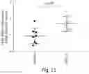 Fig. 14 - COMPOSITIONS AND METHODS RELATED TO CELL SYSTEMS FOR PENETRATING SOLID TUMORS