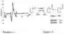 Fig. 06 - CORROLE COMPOSITIONS