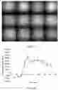 Fig. 20 - CORROLE COMPOSITIONS