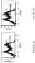Fig. 30 - CORROLE COMPOSITIONS