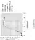 Fig. 31 - CORROLE COMPOSITIONS