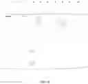 Fig. 12 - Conjugates of tumor necrosis factor inhibitors to functionalized polymers