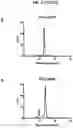 Fig. 06 - FGFR3 binding molecules