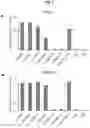 Fig. 08 - FGFR3 binding molecules