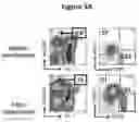 Fig. 04 - Compounds and compositions for immunotherapy