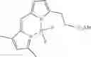 Fig. 29 - TRANSITION METAL-BASED FUNCTIONAL MOIETIES FOR PREPARING CELL TARGETING CONJUGATES