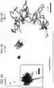 Fig. 10 - COMPOSITIONS AND METHODS FOR ENHANCING TRANSPORT THROUGH MUCUS