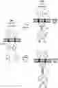 Fig. 01 - Methods and compositions for treating cone-rod retinal dystrophy