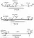 Fig. 04 - Methods and compositions for treating cone-rod retinal dystrophy